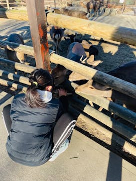 群馬サファリパークに投稿された画像（2023/1/3）