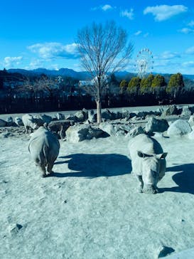 群馬サファリパークに投稿された画像（2023/1/3）