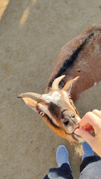 ワールド牧場に投稿された画像（2023/1/3）