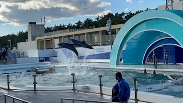 鴨川シーワールドに投稿された画像（2023/1/3）