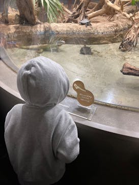 カワスイ 川崎⽔族館に投稿された画像（2023/1/3）