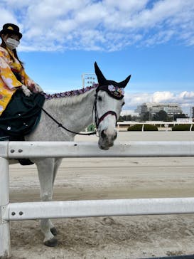 園田競馬場に投稿された画像（2023/1/3）