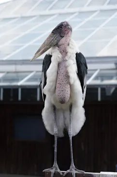 神戸どうぶつ王国に投稿された画像（2023/1/3）