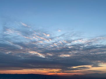 ハルカス300(展望台)に投稿された画像（2023/1/3）