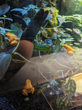 カワスイ 川崎⽔族館に投稿された画像（2023/1/3）