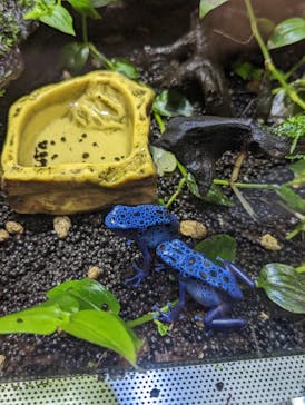 カワスイ 川崎⽔族館に投稿された画像（2023/1/3）