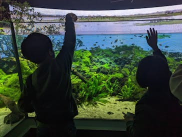 カワスイ 川崎⽔族館に投稿された画像（2023/1/3）