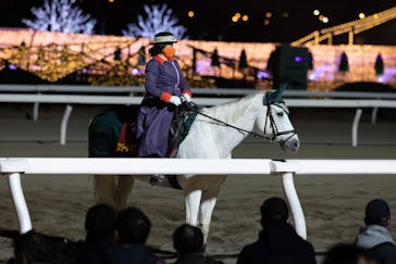 東京メガイルミに投稿された画像（2023/1/3）