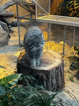 神戸どうぶつ王国に投稿された画像（2023/1/3）