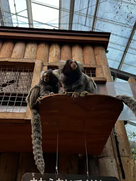 神戸どうぶつ王国に投稿された画像（2023/1/3）