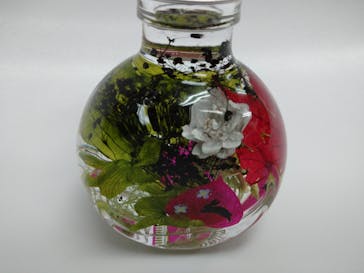 ずこうしつ〜sugamo〜に投稿された画像（2023/1/3）