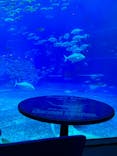 沖縄美ら海水族館に投稿された画像（2023/1/3）