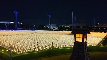 東京メガイルミに投稿された画像（2023/1/3）