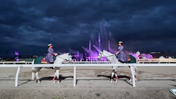 東京メガイルミに投稿された画像（2023/1/3）