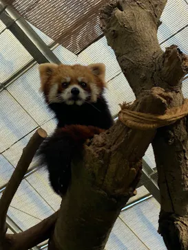 神戸どうぶつ王国に投稿された画像（2023/1/3）