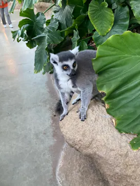 神戸どうぶつ王国に投稿された画像（2023/1/3）