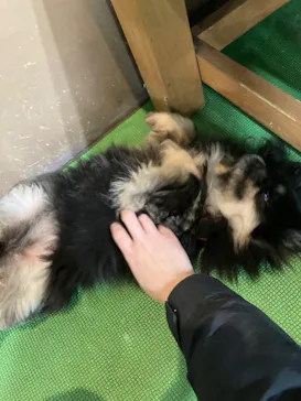 神戸どうぶつ王国に投稿された画像（2023/1/3）