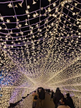 東京メガイルミに投稿された画像（2023/1/3）