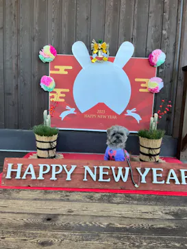 わんダフルネイチャーヴィレッジに投稿された画像（2023/1/3）