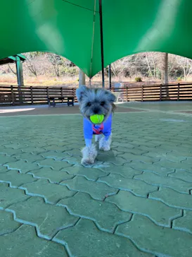 わんダフルネイチャーヴィレッジに投稿された画像（2023/1/3）