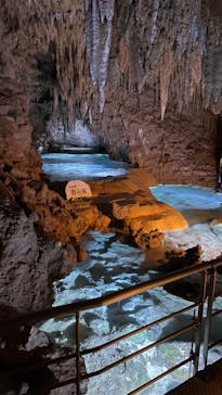 おきなわワールドに投稿された画像（2023/1/3）