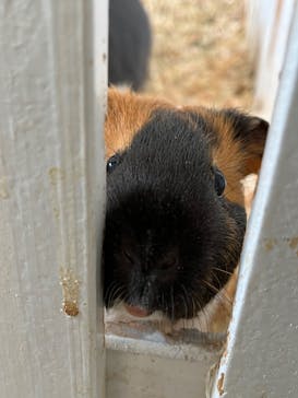 ワールド牧場に投稿された画像（2023/1/3）