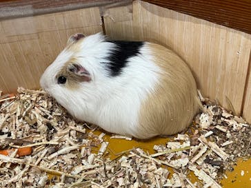 ワールド牧場に投稿された画像（2023/1/3）