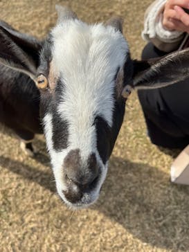 ワールド牧場に投稿された画像（2023/1/3）