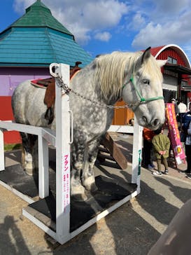 ワールド牧場に投稿された画像（2023/1/3）