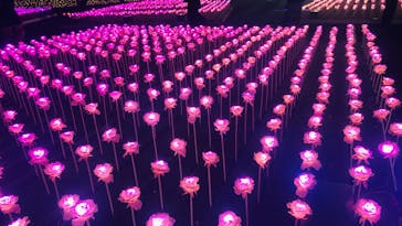 東京メガイルミに投稿された画像（2023/1/3）