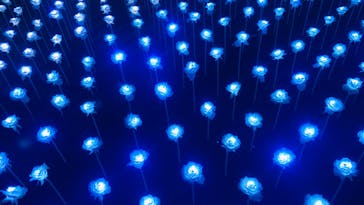 東京メガイルミに投稿された画像（2023/1/3）