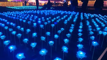 東京メガイルミに投稿された画像（2023/1/3）