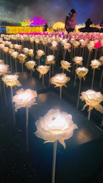 東京メガイルミに投稿された画像（2023/1/3）