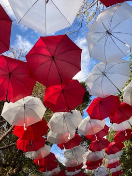 ニューヨークランプミュージアム＆フラワーガーデンに投稿された画像（2023/1/3）