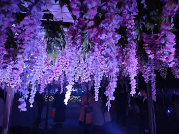 東京メガイルミに投稿された画像（2023/1/3）