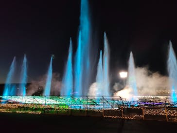 東京メガイルミに投稿された画像（2023/1/3）