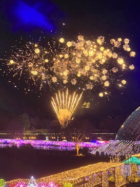 とっとり花回廊に投稿された画像（2023/1/3）