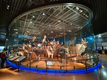 国立科学博物館に投稿された画像（2023/1/3）