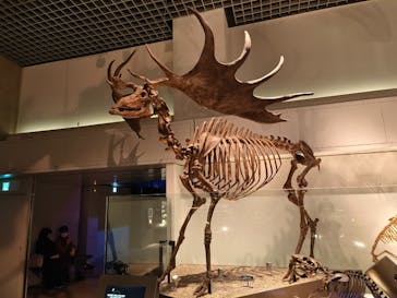 国立科学博物館に投稿された画像（2023/1/3）