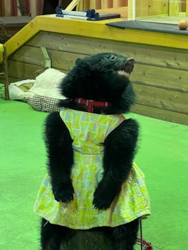 奥飛騨クマ牧場に投稿された画像（2023/1/3）