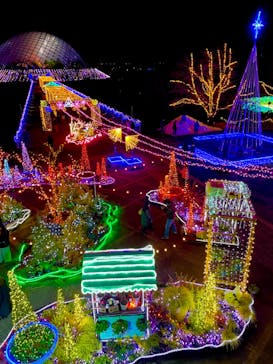 とっとり花回廊に投稿された画像（2023/1/3）