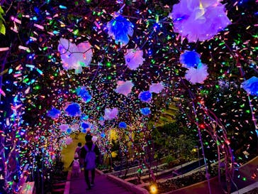 とっとり花回廊に投稿された画像（2023/1/3）