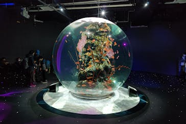 神戸みなと温泉 蓮に投稿された画像（2023/1/3）