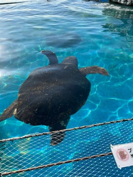 鴨川シーワールドに投稿された画像（2023/1/3）