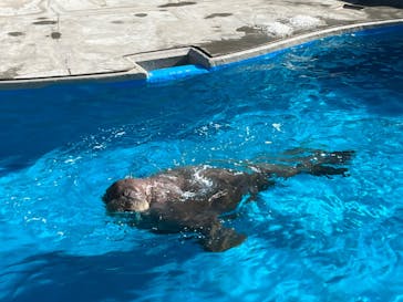 鴨川シーワールドに投稿された画像（2023/1/3）