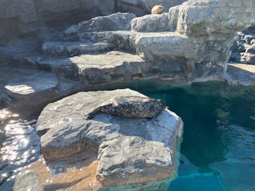 鴨川シーワールドに投稿された画像（2023/1/3）