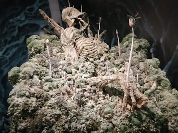 アニメージュとジブリ展に投稿された画像（2023/1/3）