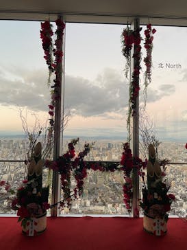 ハルカス300(展望台)に投稿された画像（2023/1/3）