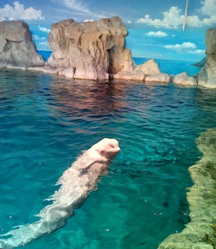 名古屋港水族館に投稿された画像（2023/1/3）