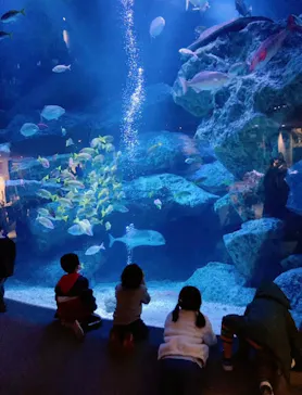 すみだ水族館に投稿された画像（2023/1/3）